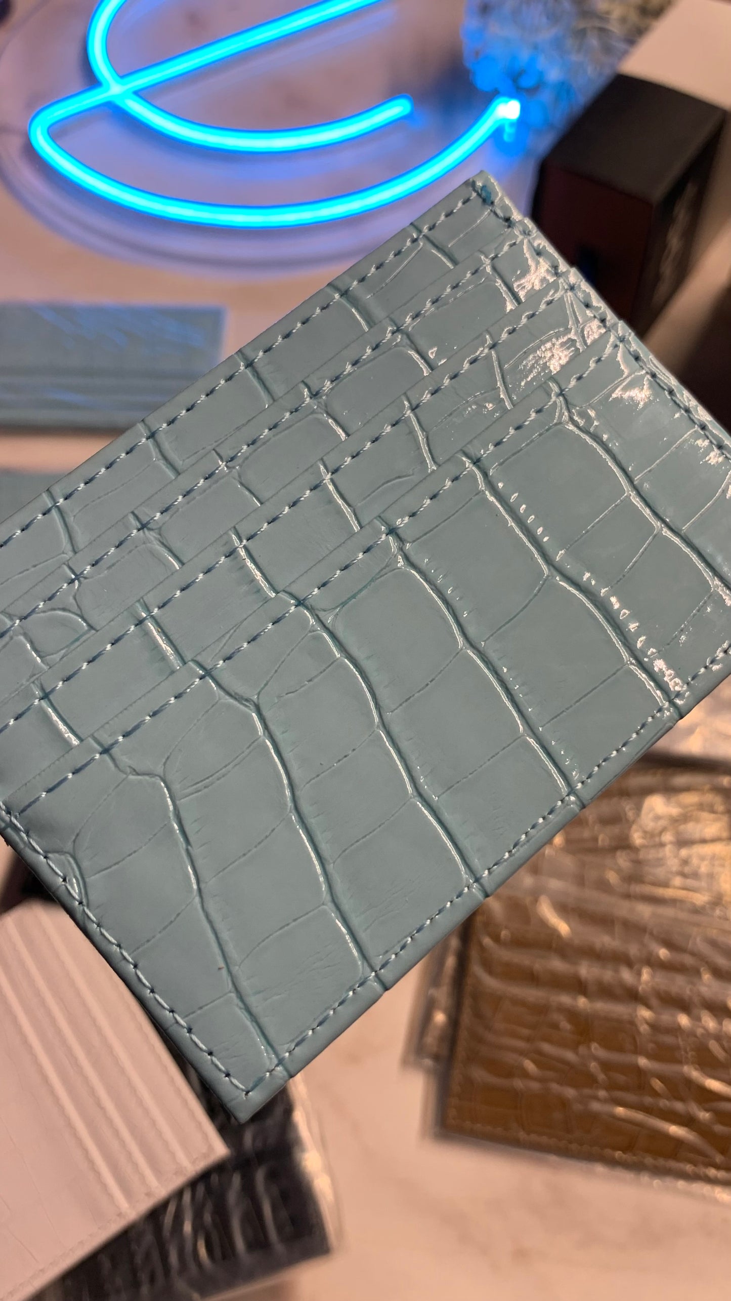 Baby Blue Cardholder For Women