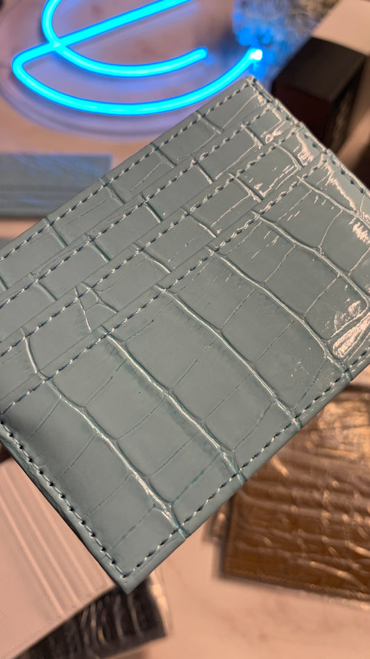 Baby Blue Cardholder For Women